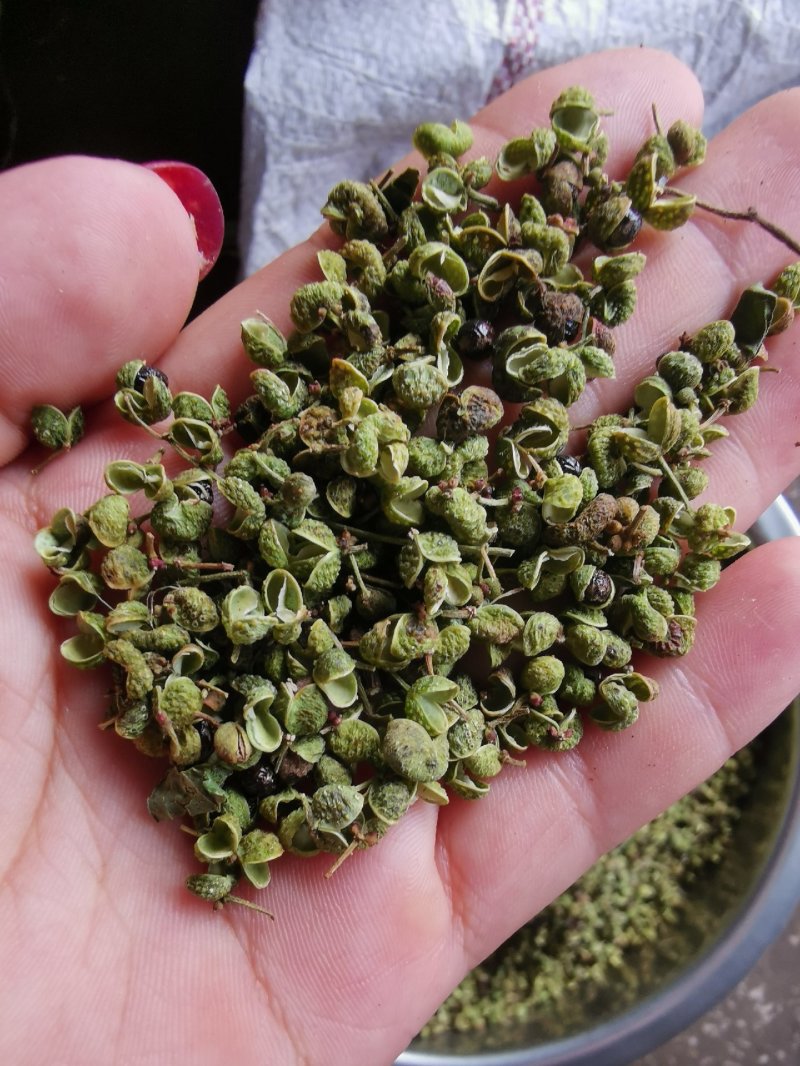 【精品】大红袍花椒自然晒干自产自销保质保量量大从优