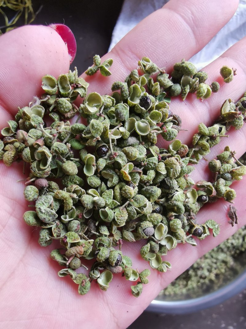 【精品】大红袍花椒自然晒干自产自销保质保量量大从优