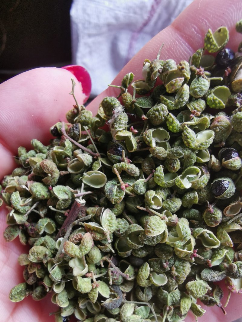 【精品】大红袍花椒自然晒干自产自销保质保量量大从优
