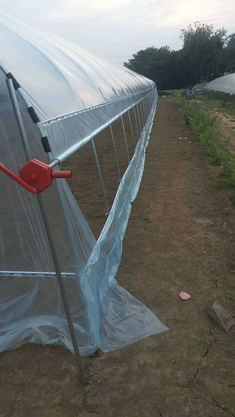 厂价直销全套养殖鸡鸭猪大棚，种植大棚温室大棚各种规格定做