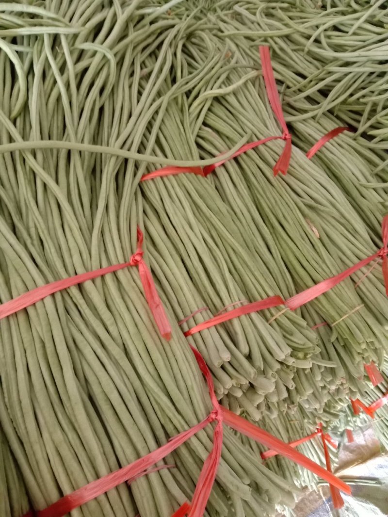 【精选】长豆角70厘米以上大量有货产地直销质优价廉！