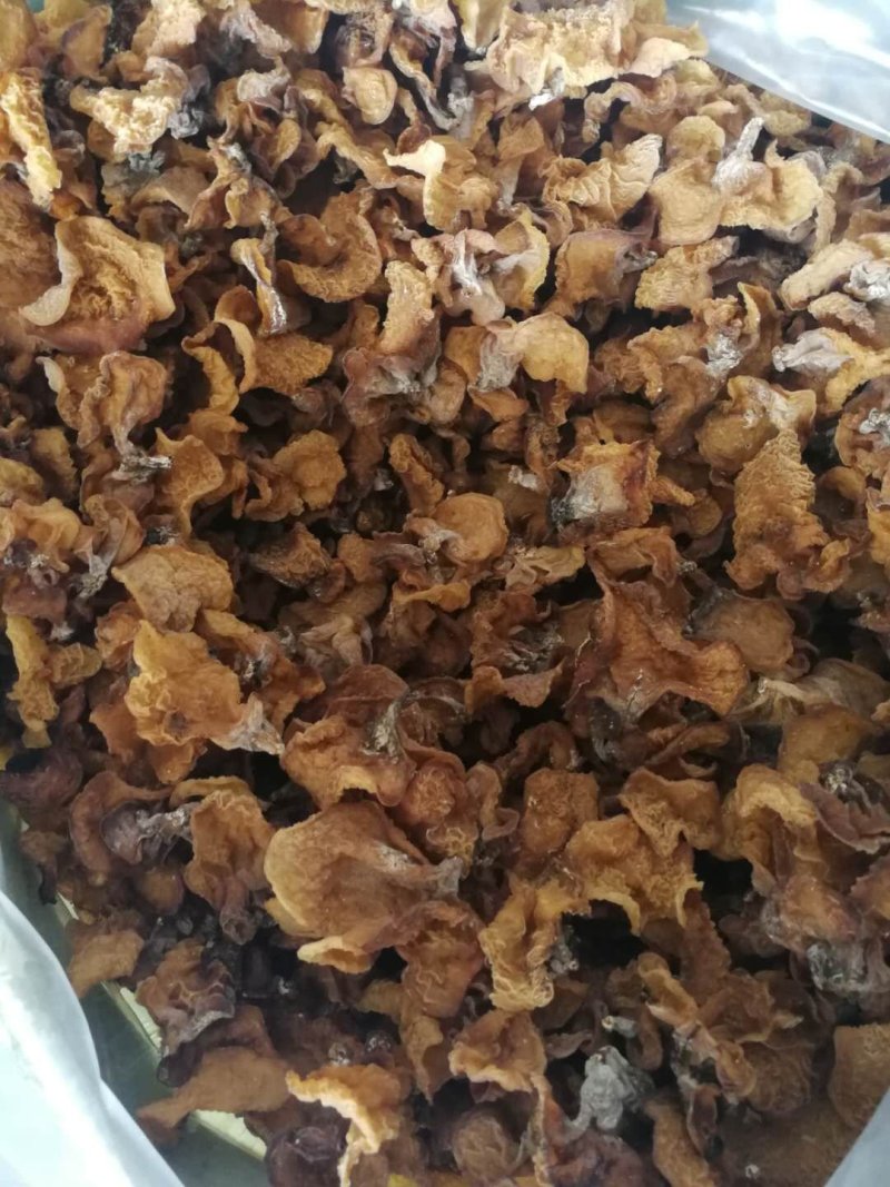 羊肚耳，沙耳，食用菌干货