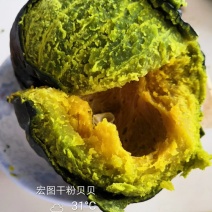 贝贝南瓜