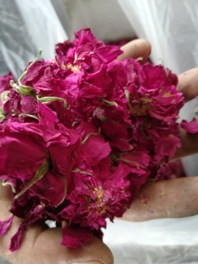 低温烘焙无硫平阴玫瑰花冠通货