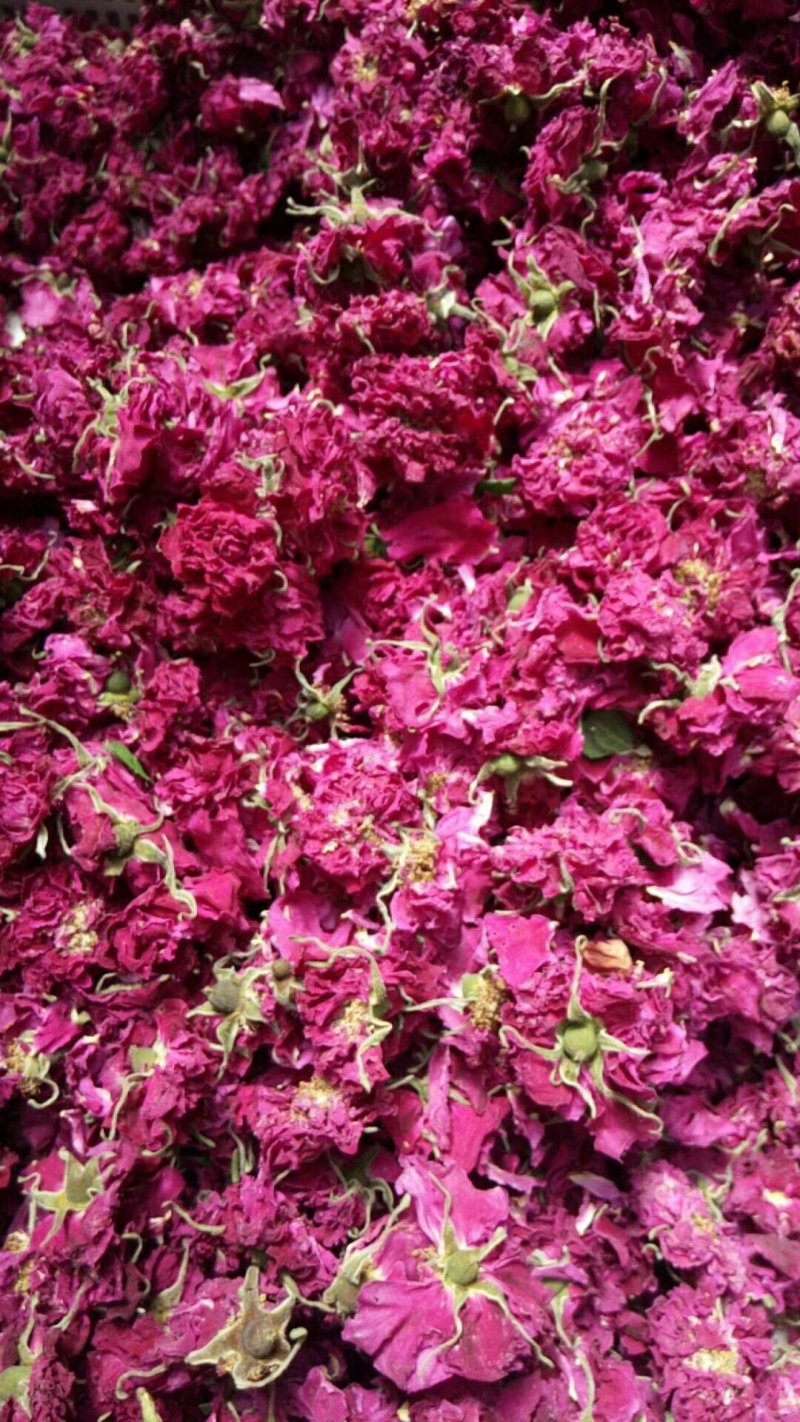 低温烘焙无硫平阴玫瑰花冠通货
