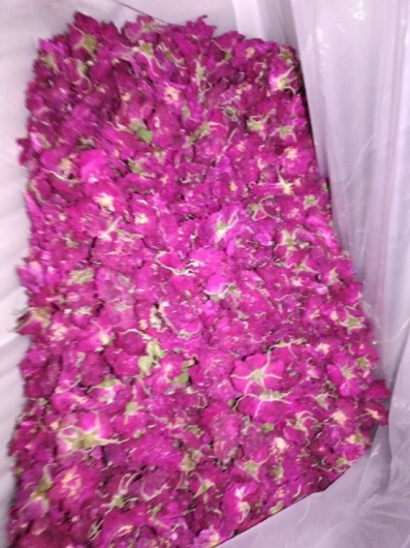 低温烘焙无硫平阴玫瑰花冠通货