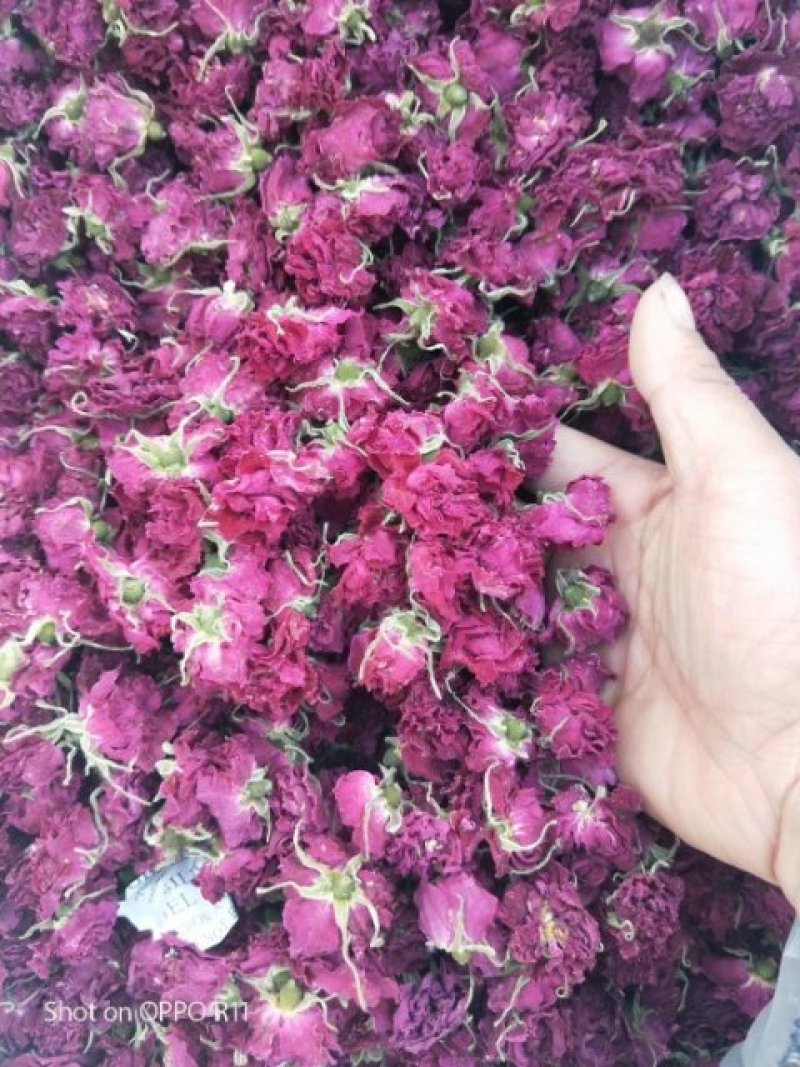 低温烘焙无硫平阴玫瑰花冠通货