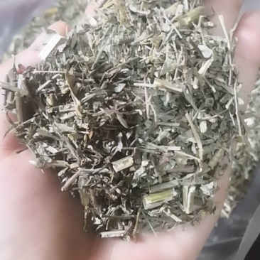 叶下珠不包邮