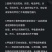 正宗中华甲鱼39元一只包邮，包活到家，鱼塘直接供应。