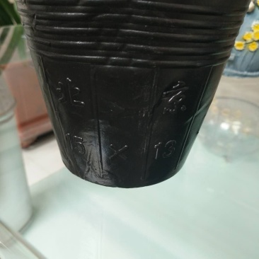 营养杯15×13/18×21/18×25-10×15包邮