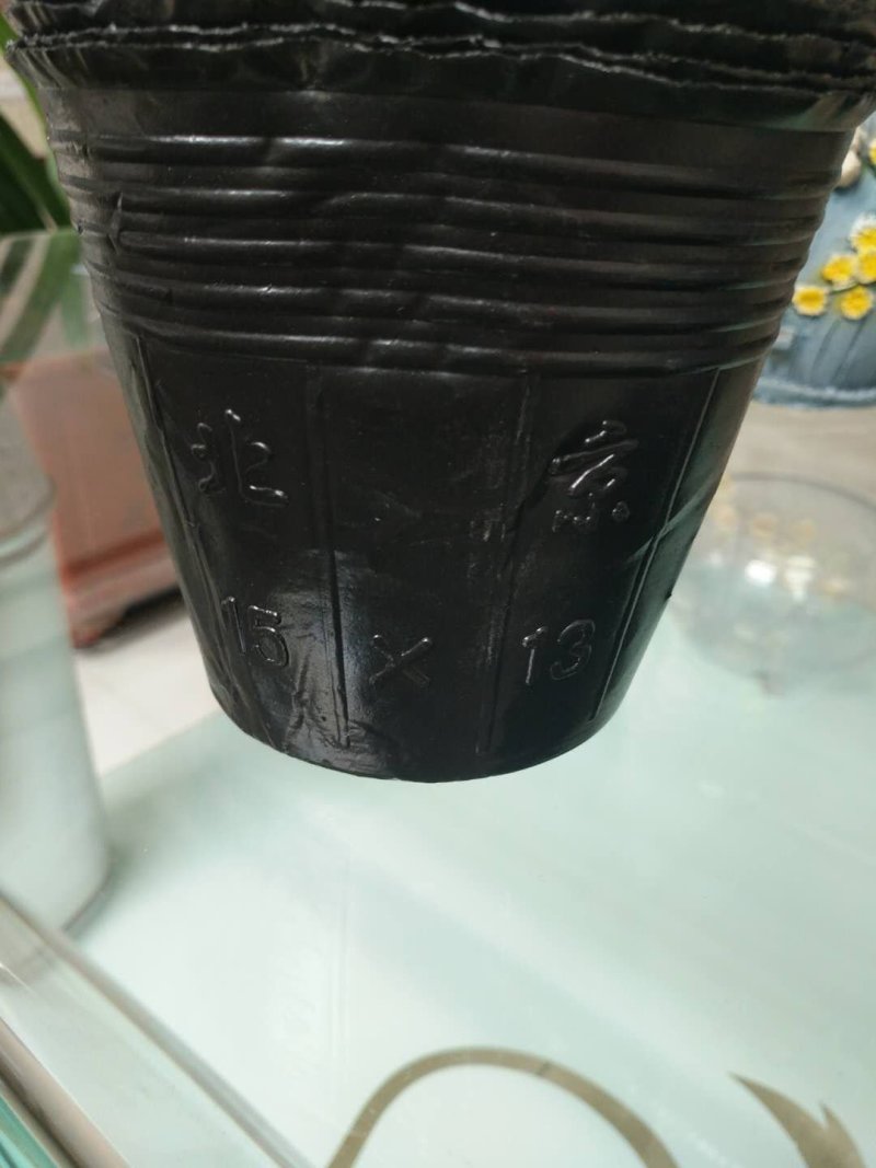 营养杯15×13/18×21/18×25-10×15包邮