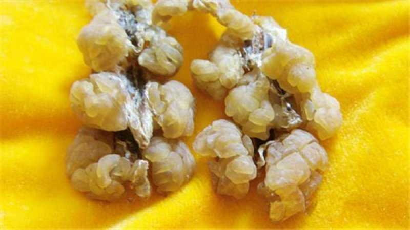 林蛙油100克起包邮量大从优欢迎选购