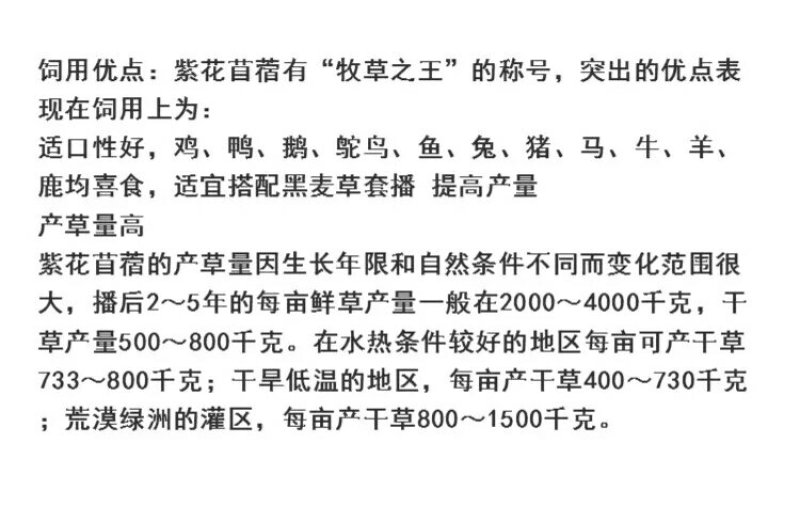 四季牧草种子多年生四季养殖紫花苜蓿鸡鸭鹅猪牛羊兔鱼草