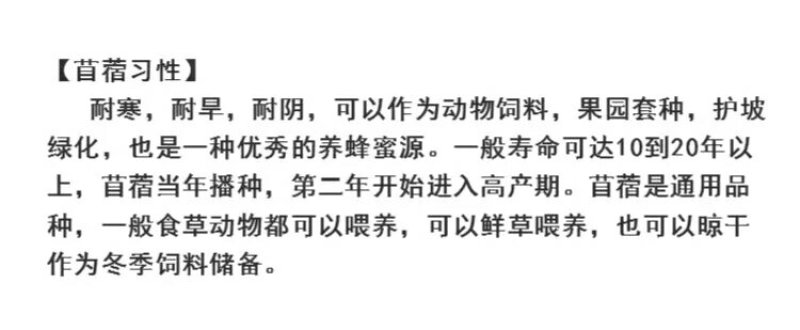 四季牧草种子多年生四季养殖紫花苜蓿鸡鸭鹅猪牛羊兔鱼草