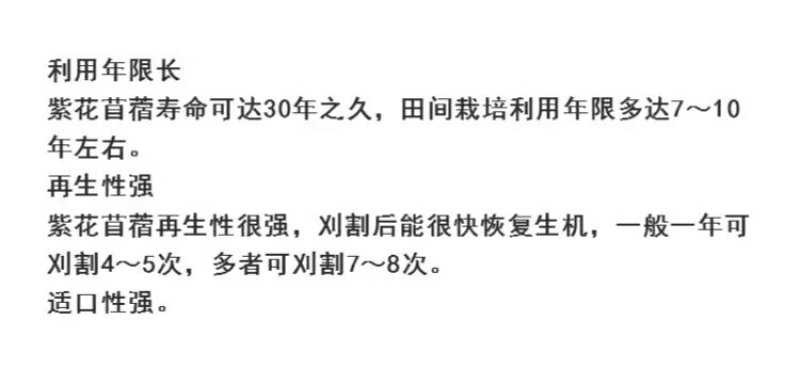 四季牧草种子多年生四季养殖紫花苜蓿鸡鸭鹅猪牛羊兔鱼草