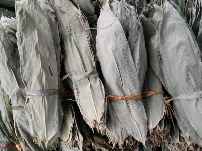 干粽叶粽叶野生粽叶箬叶