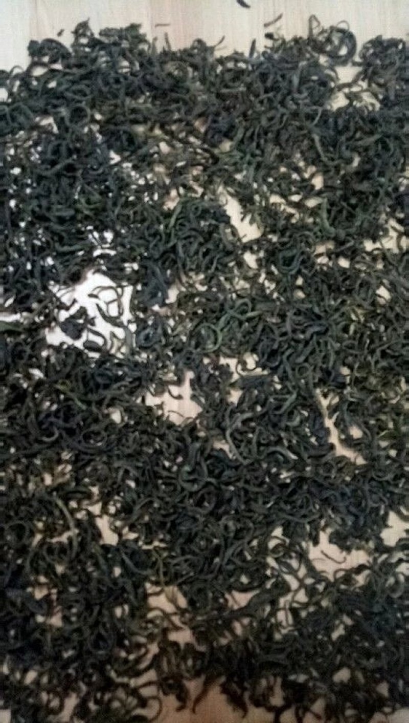四川乐山马边茶凉风洞茶业明前茶叶春茶碧螺春毛尖仙毫独芽飘