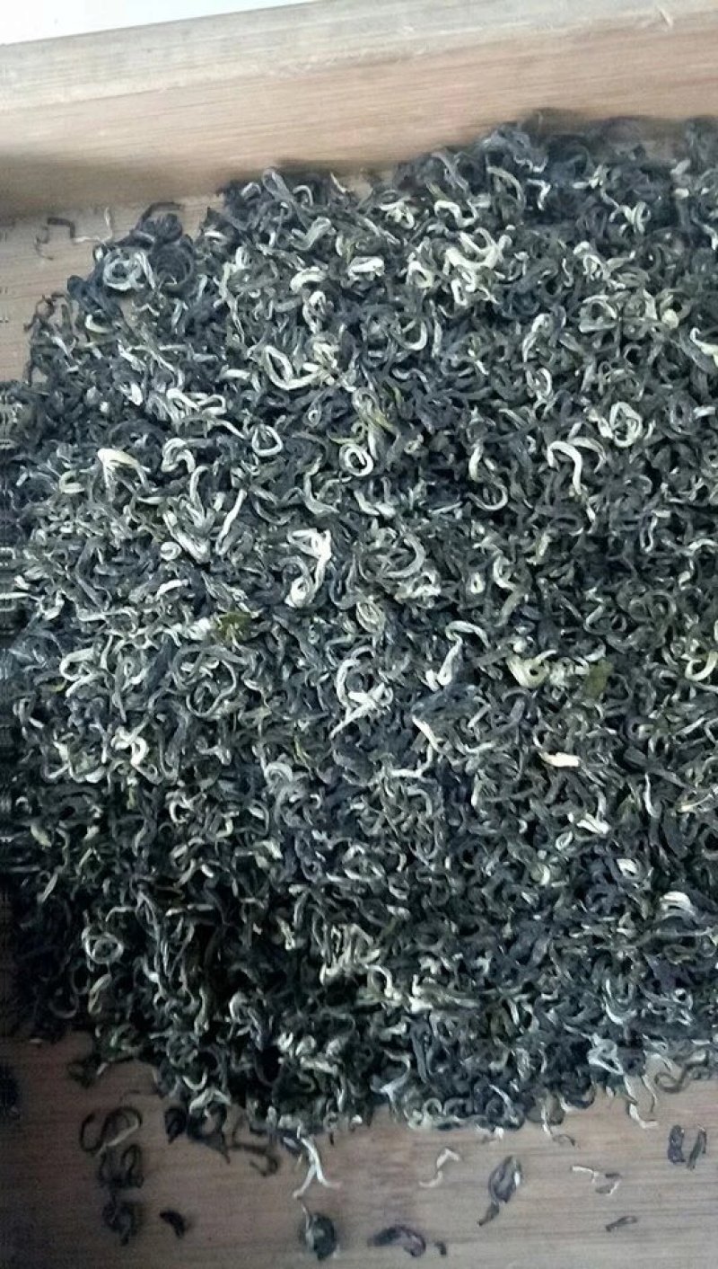 四川乐山马边茶凉风洞茶业明前茶叶春茶碧螺春毛尖仙毫独芽飘