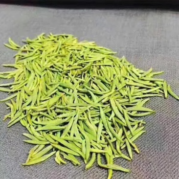 四川乐山马边茶凉风洞茶业明前茶叶春茶碧螺春毛尖仙毫独芽飘