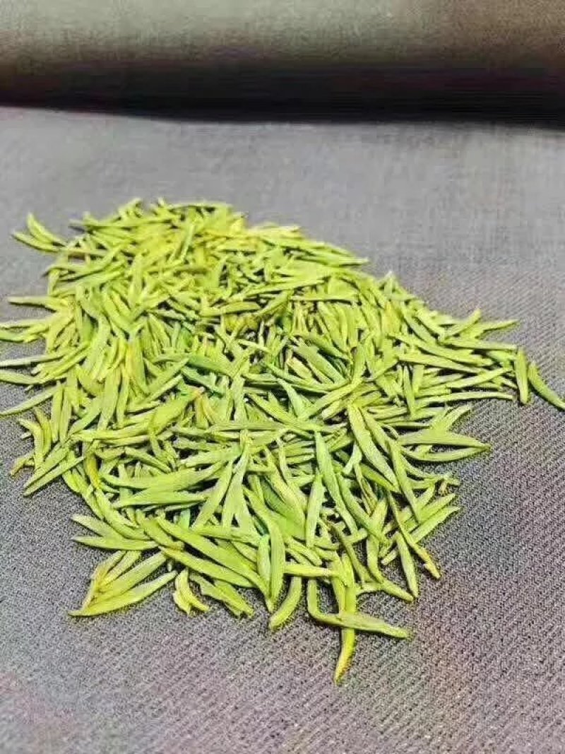 四川乐山马边茶凉风洞茶业明前茶叶春茶碧螺春毛尖仙毫独芽飘