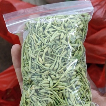 金银花