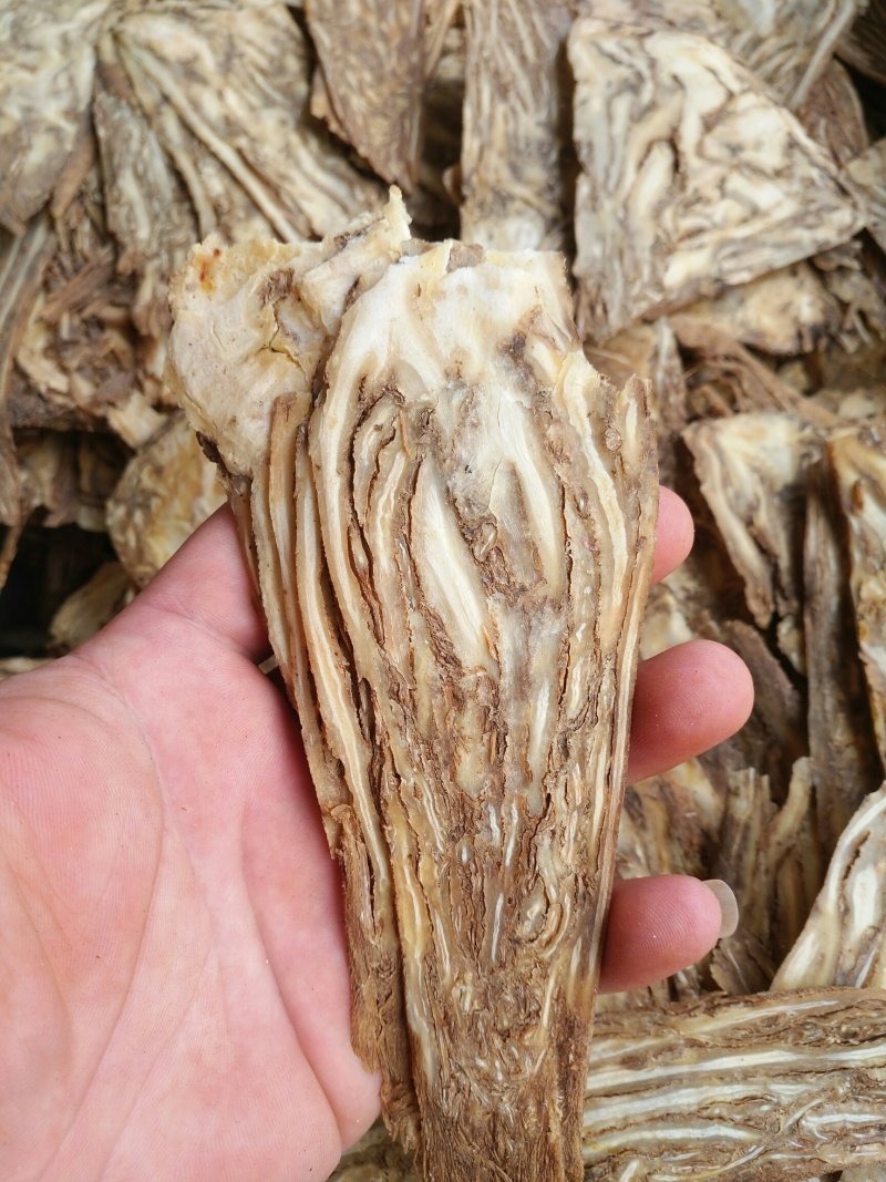 当归全当归片优质精选