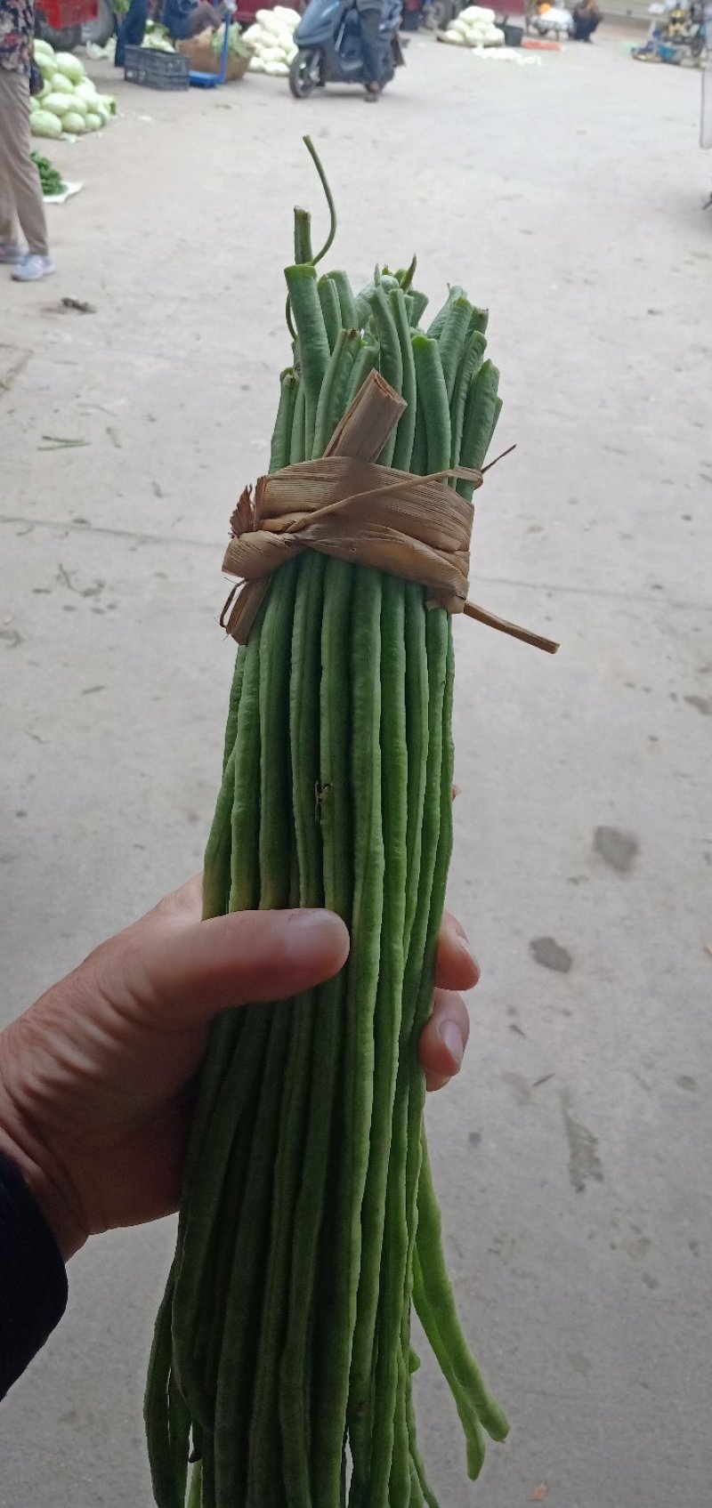 豇豆(绿豇豆)产地直销：视频看货巜现货》