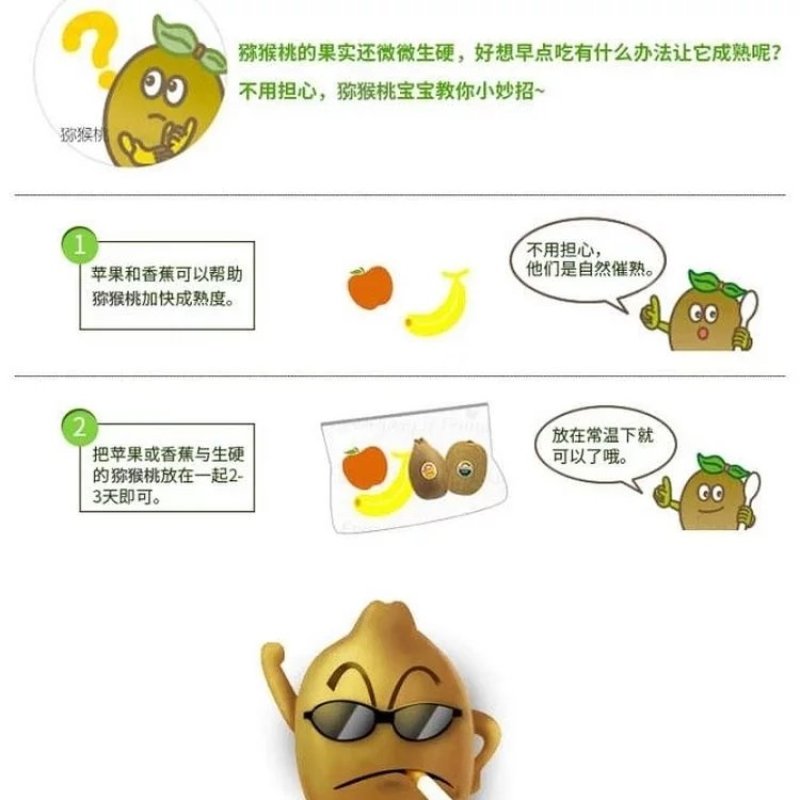 徐香（绿肉）年发现的新芽变原生态猕猴桃一件包邮