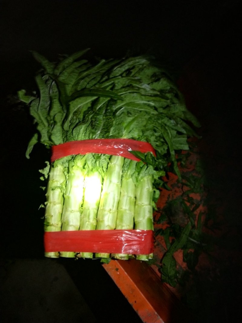 尖叶莴笋青皮青肉刚上市
