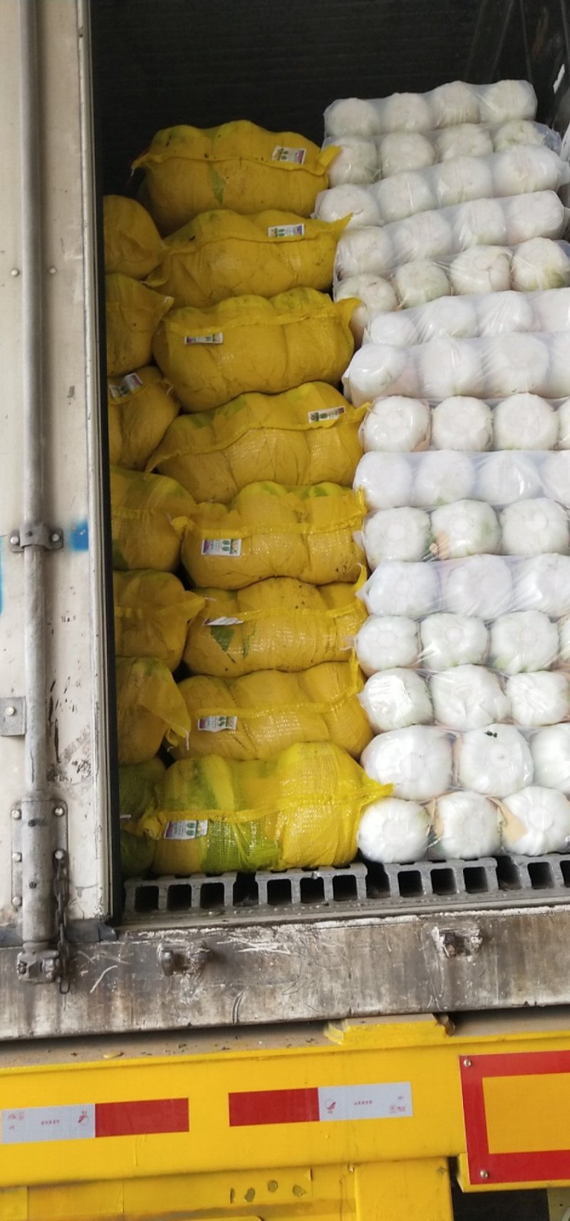 黄心大白菜陆地面积大质量好