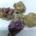 芙蓉花供应上千种中药材