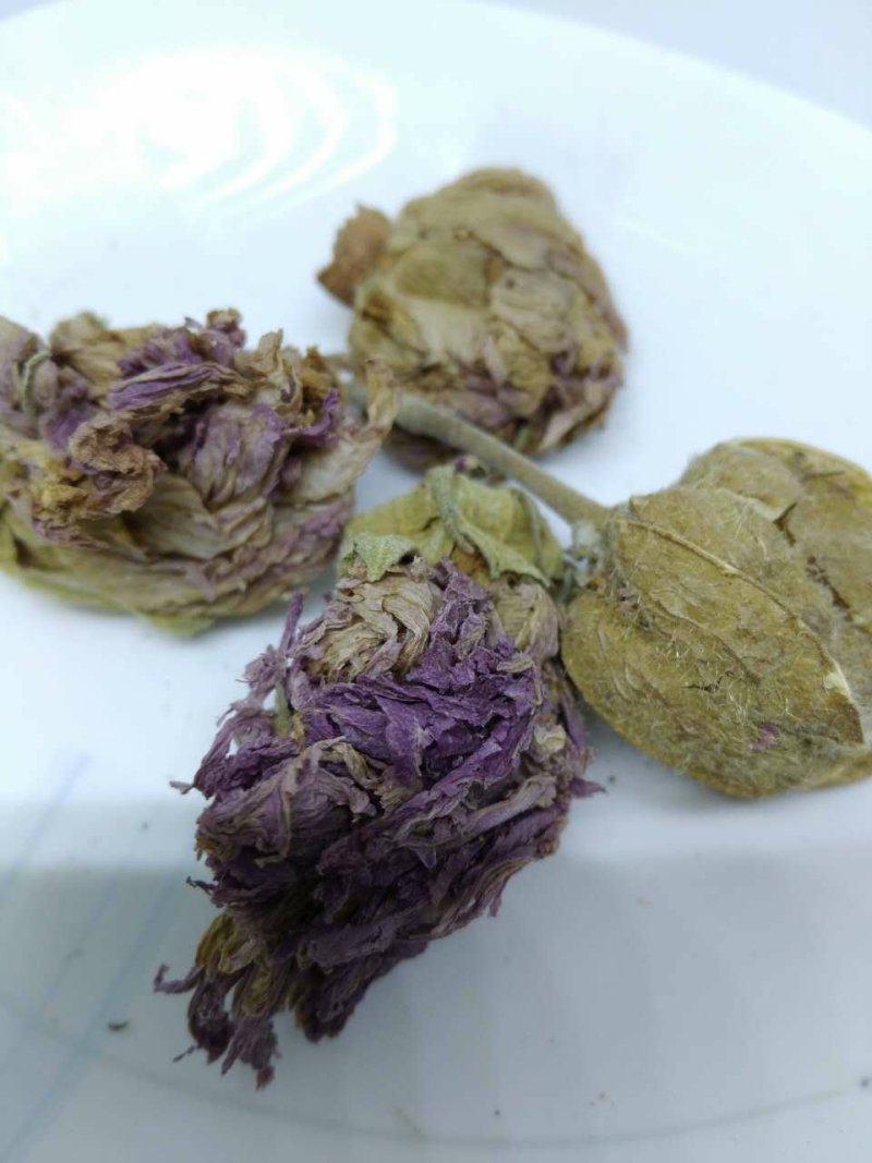 芙蓉花供应上千种中药材