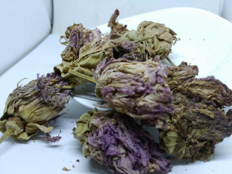 芙蓉花供应上千种中药材