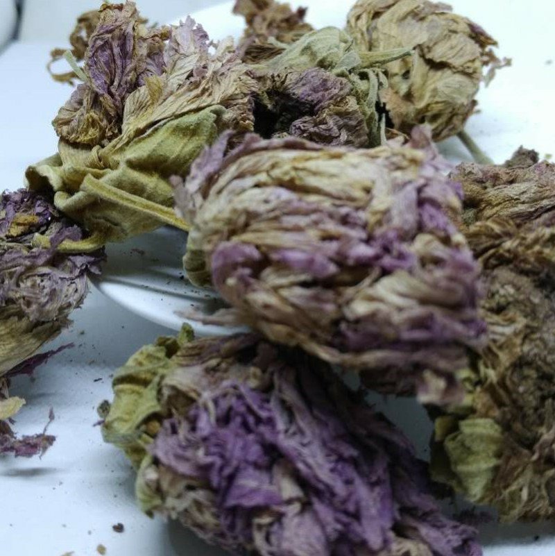 芙蓉花供应上千种中药材
