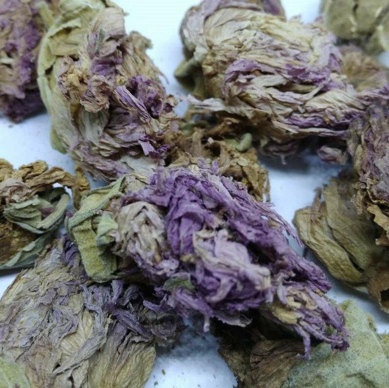 芙蓉花供应上千种中药材