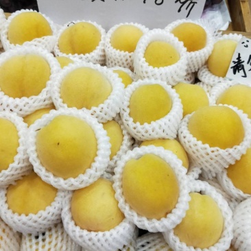 炎陵黄桃10斤礼盒装果园现摘现发新鲜到你家