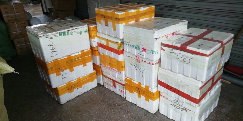 浙茭7号双季茭白种苗，浙江金华产地直发，可实地考察，