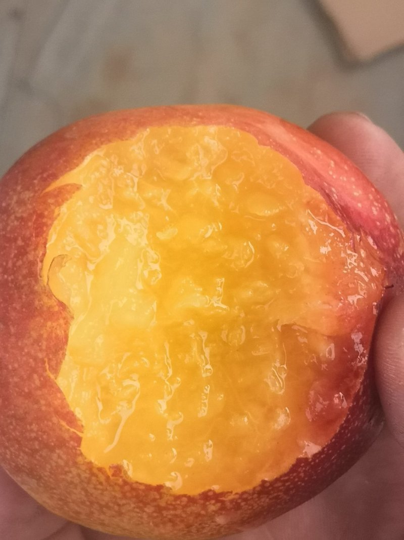 油桃