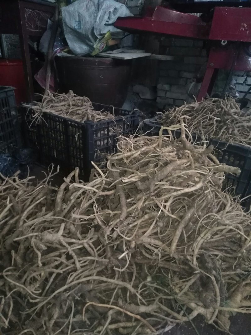 各种纯野生下山货中药材