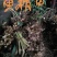 各种纯野生下山货中药材