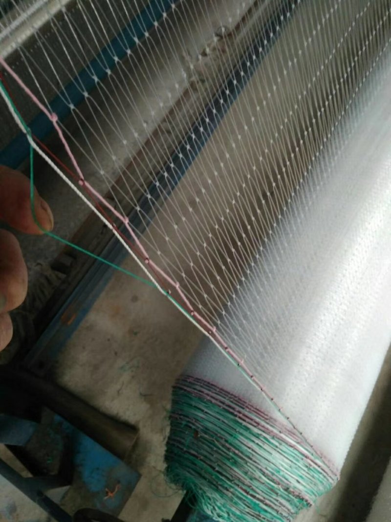 涤纶苹果梨园樱桃葡尼龙防鸟网鱼塘养殖青蛙天网轮胎线防鸟网