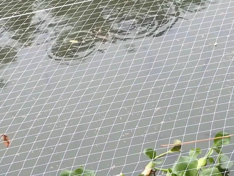 涤纶苹果梨园樱桃葡尼龙防鸟网鱼塘养殖青蛙天网轮胎线防鸟网