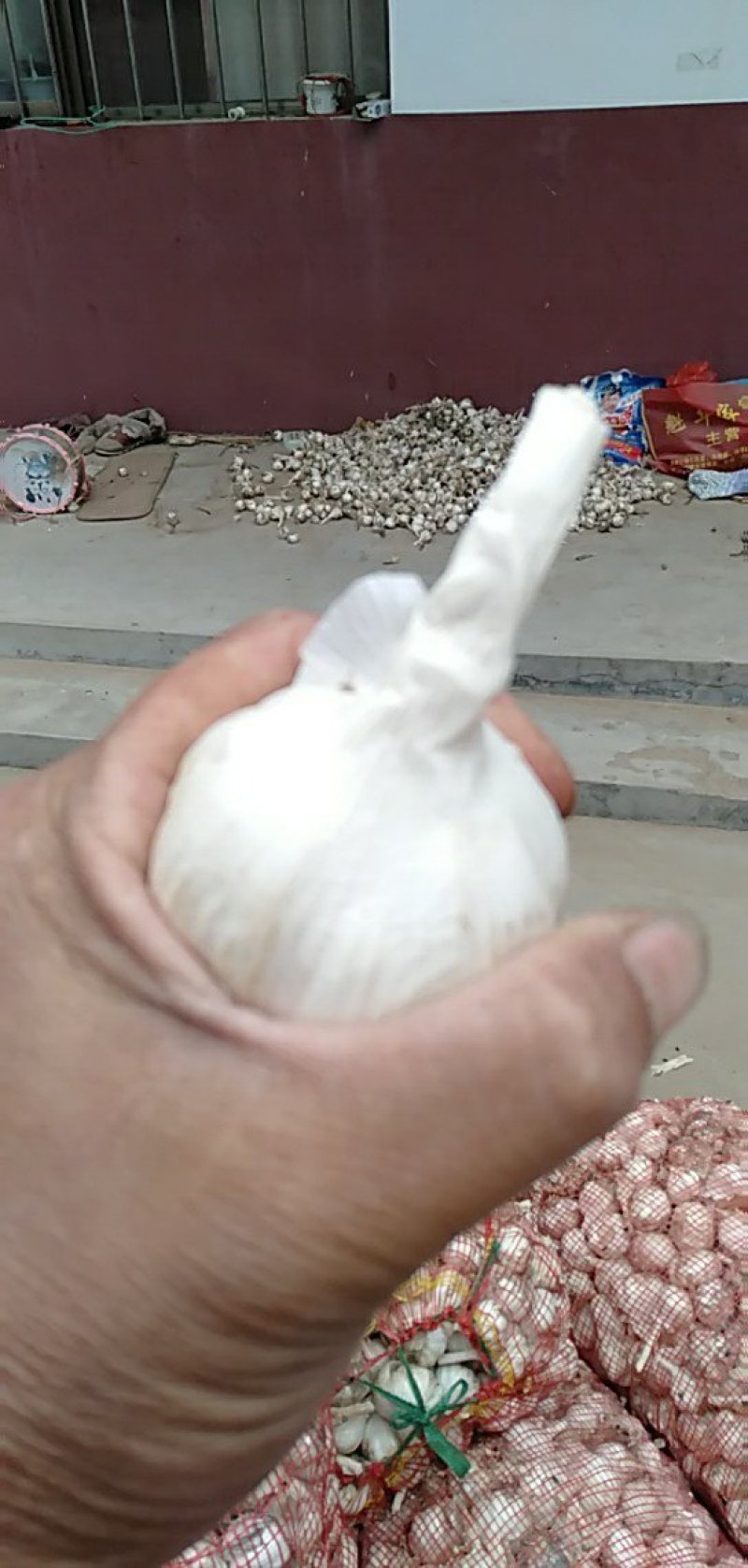 干蒜