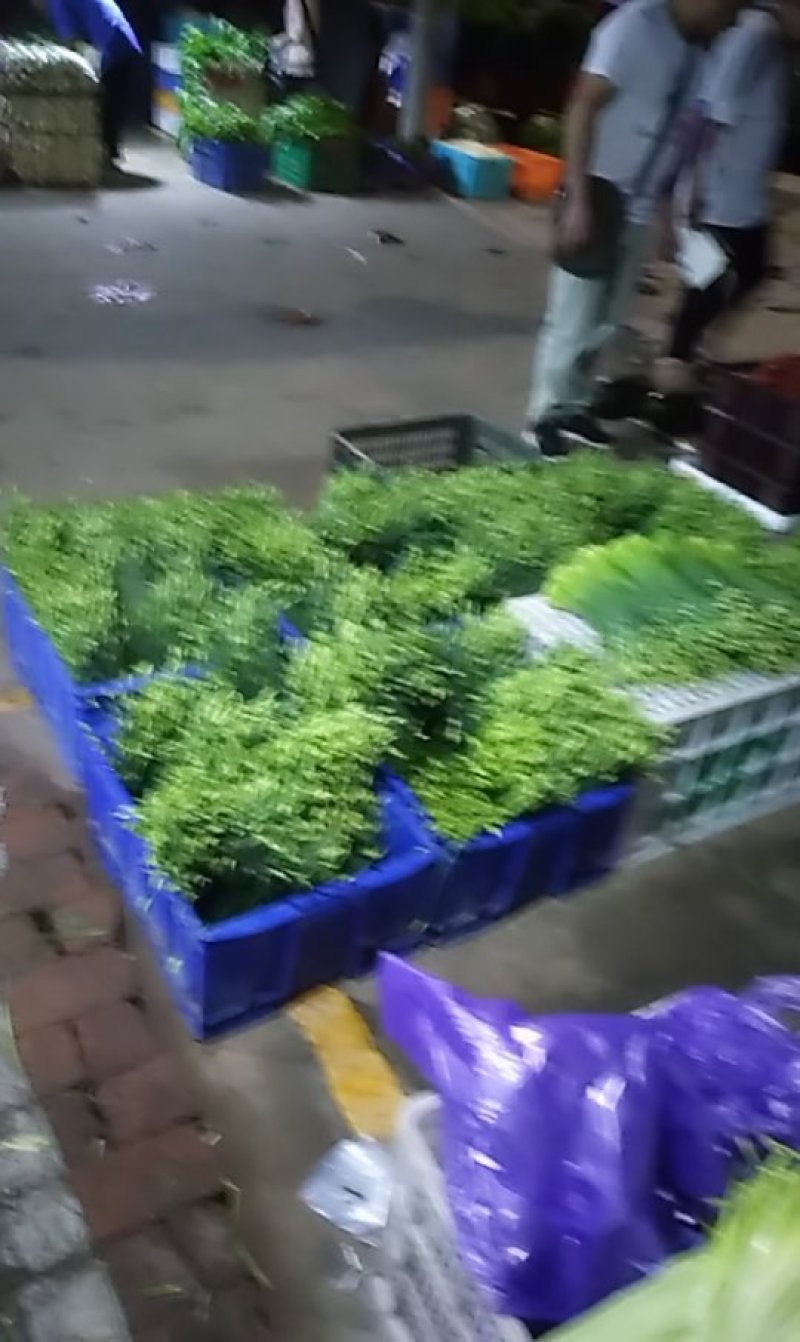 韭菜花