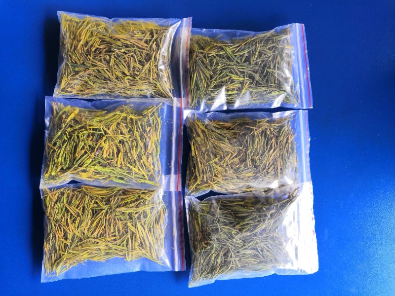安吉白茶，黄金茶