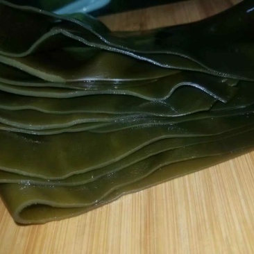 东海福建霞浦农家自晒海带