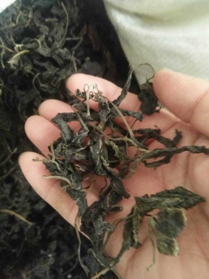 野菜特菜常年供货各种山珍野菜，一手货源，价格实在