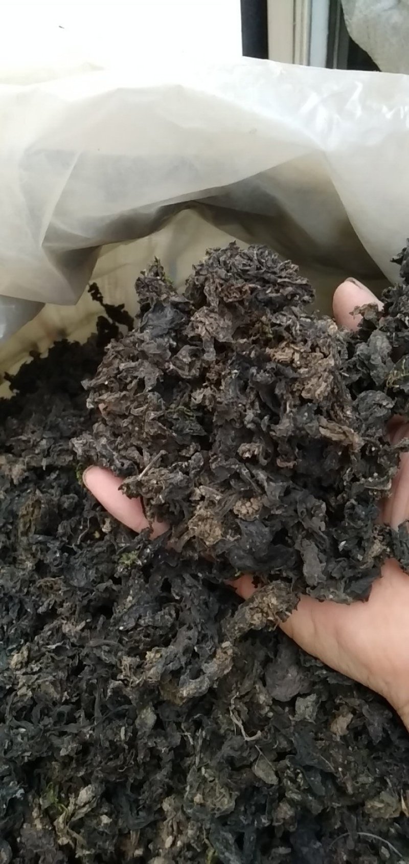 野菜特菜常年供货各种山珍野菜，一手货源，价格实在