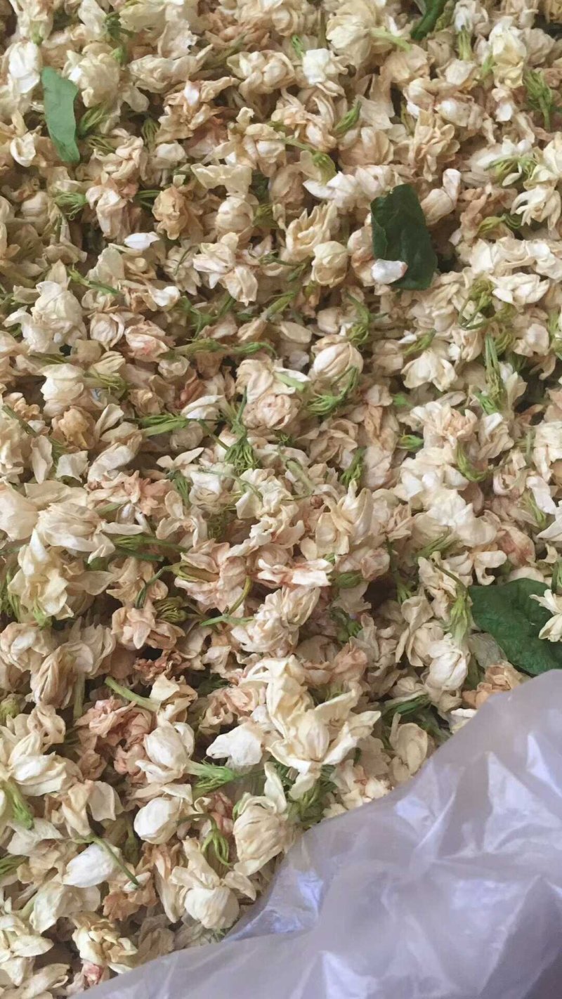 野菜特菜常年供货各种山珍野菜，一手货源，价格实在
