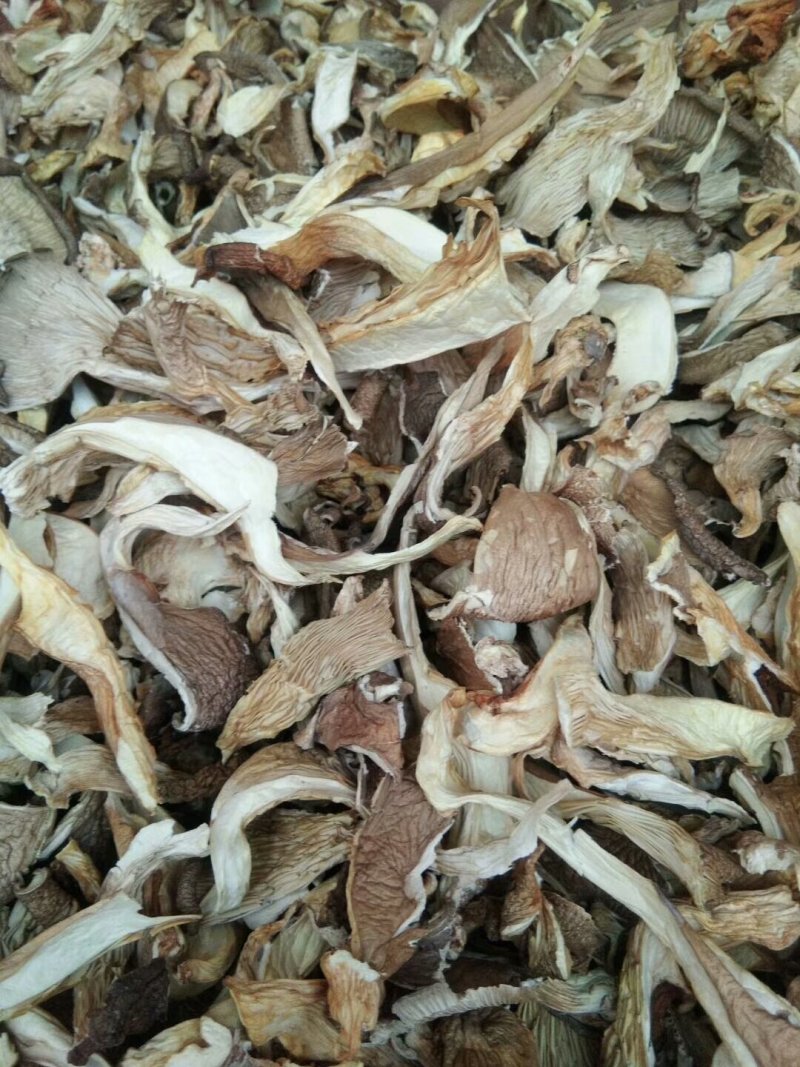 野菜特菜常年供货各种山珍野菜，一手货源，价格实在